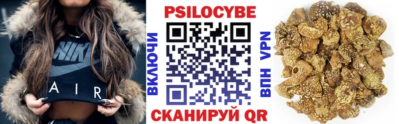Галлюциногенные грибы Psilocybe где купить наркотик Нерюнгри
